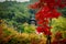 Eikando pagoda and autumn foliage - Kyoto, Japan