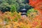 Eikando pagoda with fall color, Kyoto