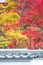 Eikando Temple at Autumn Maple Season. Japan Maple Momiji Season Image. maple leaves at stone ladder.