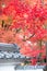 Eikando Temple at Autumn Maple Season. Japan Maple Momiji Season Image. maple leaves at stone ladder.