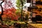Eikando temple wtih autumn foliage, Kyoto