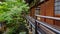 Eikando Zenrin-ji Temple in Kyoto