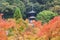 Eikando Zenrinji Temple at autumn, Kyoto