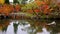 Eikando Zenrinji Temple at autumn in Kyoto