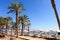 Eilat beach with palm trees, sunshades and sunloungers at Red Sea, Israel