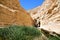 Ein Avdat oasis in Negev Desert