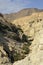 Ein Gedi gorge in Judea desert.