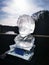 Einstein ice sculpture on Elvet Bridge Durham