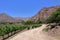 El Cafayate vineyards with mountain backdrop, Argentina