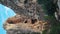 El Caminito Del Rey, The Kings Little Path, Malaga Province, Beautiful Views of El Chorro Gorge, Ardales, Malaga, Spain