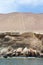 El Candelabro, Ballestas Islands, Peru