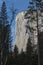 El Capitan Granite Cliff Rises Above Yosemite in California