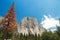 El Capitan granite rocks, known for breathtaking climbing routes,view from Yosemite valley, California, USA.