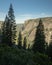 El Capitan Through The Pines Along Four Mile Trail In Yosemite