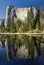 El Capitan reflected in the Merced River, Yosemite National Park, California, USA