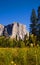 El Capitan, Yosemite National Park