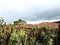 El Castillo Temple of the Sun at Ingapirca, Ecuador.