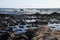 El Cotillo - Faro del Toston: View over black volcanic rocks on ocean with waves