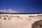 El Cotillo - Faro del Toston: View over white sand on beach La Concha north Fuerteventura