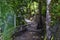 El Miro Ruins, hiking trail views, abandoned mansion, declared biological corridor, in the province of Jaco, Costa Rica 2022
