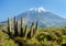 El Misti volcano near Arequipa city in Peru