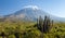 El Misti volcano near Arequipa city in Peru