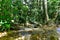 El Nicho Waterfalls in Cuba