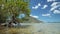 El Nido bay. Palawan, Philippines. Mangrove tree in low tide. Bangka banca boats floating on shallow water surface