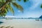 El Nido, Palawan island, Philippines. Palm trees of Corong Corong beach, island hopping boats in blue shallow lagoon and blue sky
