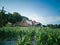 El Om farmers house with maize fields