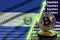 El Salvador flag and rising green arrow on bitcoin mining screen and two physical golden bitcoins