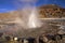 El Tatio geysers in Atacama, Chile