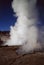 El Tatio geysers are the highest geyser field in the world. We walked among dozens of spurting geysers, each marked