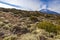 El teide mountain