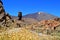 El Teide volcano from Roques de GarcÃ­a