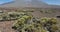 El Tiede volcano rocky landscape national park. Rough stone volcanic landscape. Plants in a open cliff landscape on a