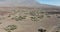 El Tiede volcano rocky landscape national park. Rough stone volcanic landscape. Plants in a open cliff landscape on a