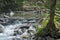 El Yunque creeks, Puerto Rico.