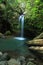 El Yunque Falls and Pool