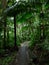 El Yunque path