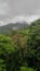 El Yunque Rain Forest Mountains Puerto Rico