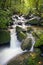 El Yunque river stream