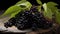 Elaborate Fruit Arrangement: Black Elderberry On Wooden Platter