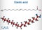 Elaidic acid molecule. Structural chemical formula and molecule model