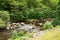 The Elan valley in the summertime of Wales, UK.