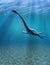 Elasmosaurus Undersea