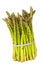 Elastic Band Securing Bunch of Fresh Asparagus