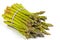 Elastic Band Securing Bunch of Fresh Asparagus