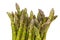 Elastic Band Securing Bunch of Fresh Asparagus