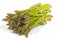 Elastic Band Securing Bunch of Fresh Asparagus